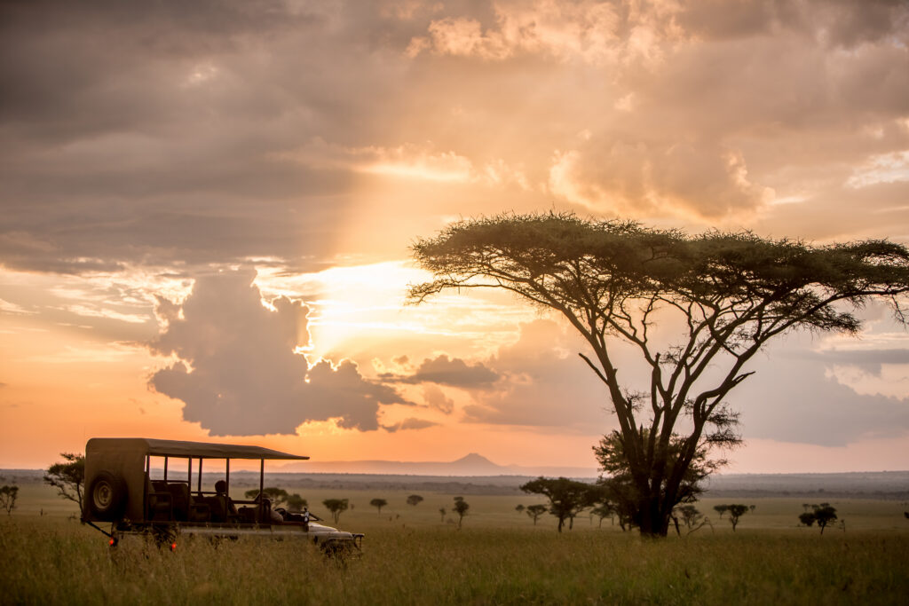 Safari vehicle on an open plain
